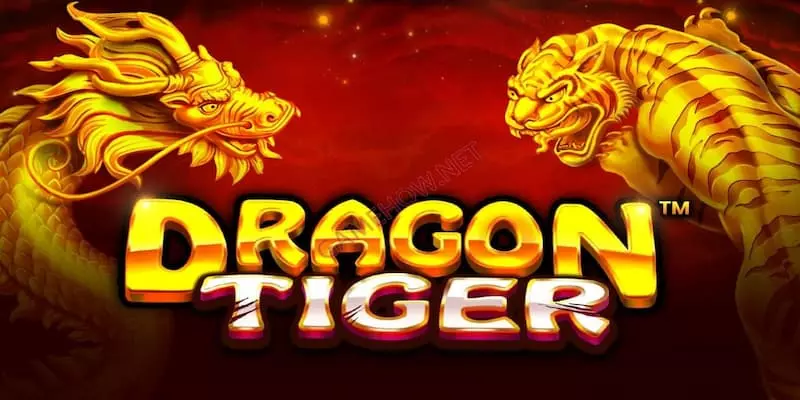 Hiểu về tỷ lệ cược và trả thưởng